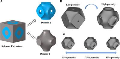 Design of novel triply periodic minimal surface (TPMS) bone scaffold with multi-functional pores: lower stress shielding and higher mass transport capacity